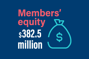 Members' equity 382.5 million